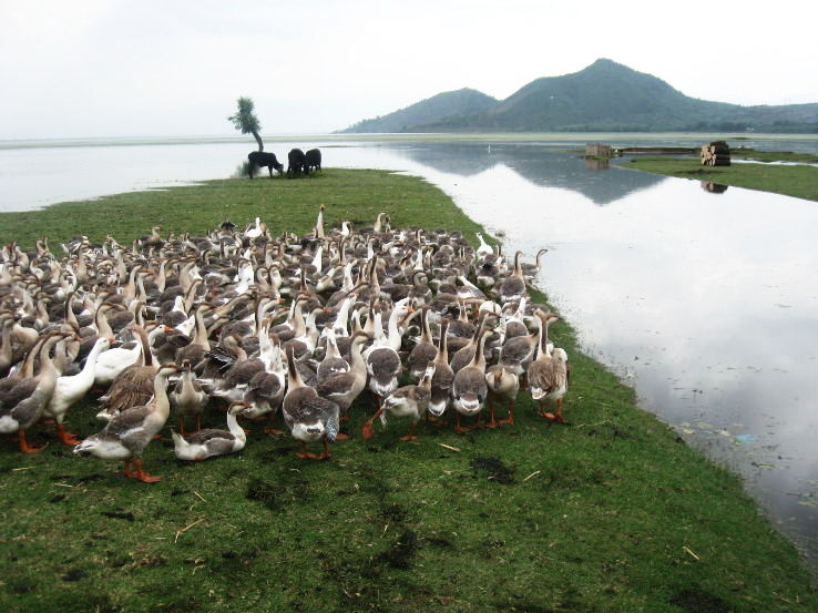 Wular Lake